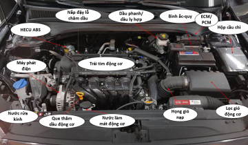 CÁC BỘ PHẬN BÊN TRONG KHOANG ĐỘNG CƠ KIA CERATO